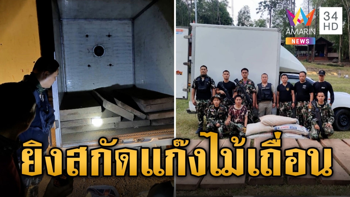ยิงสนั่นป่า! ยิงสกัดมอดไม้ซิ่งรถหนี