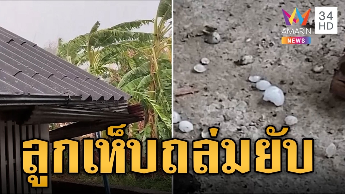 พายุถล่มเชียงราย ลูกเห็บโปรยปรายของพังยับ