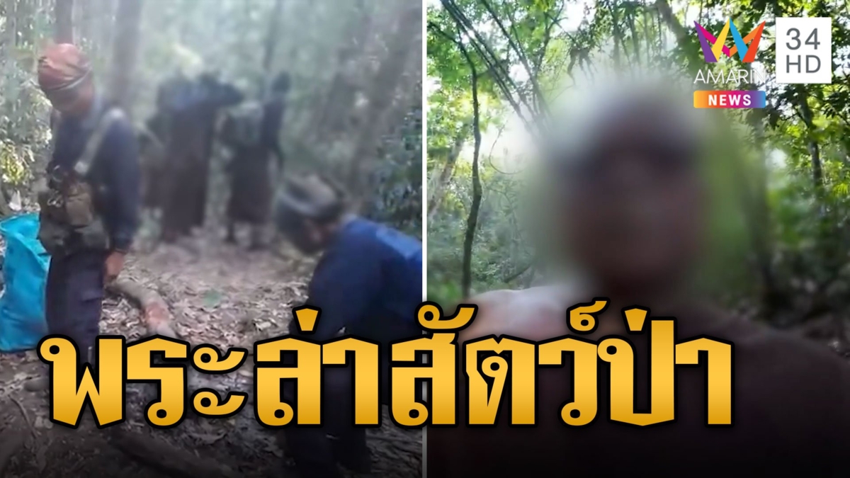 สะเทือนวงการผ้าเหลือง! แก๊งพระสงฆ์ย่องล่าสัตว์ป่าภูเขียว