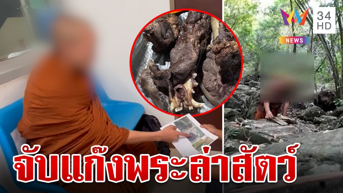 งามไส้!จับแก๊งผ้าเหลืองรองเจ้าคณะจังหวัดนำทัพบุกป่าล่าสัตว์ ซ้ำยิงใส่จนท.
