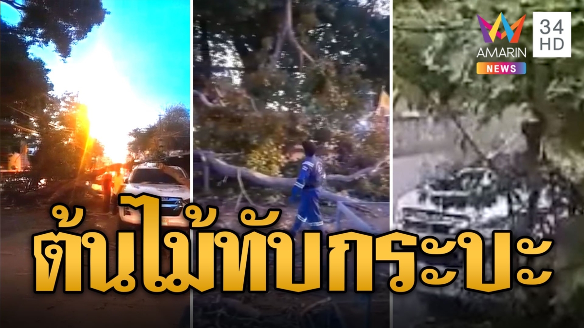 ระทึก! ต้นไม้ 100 ปี หักโค่นทับกระบะดังสนั่นพังยับ