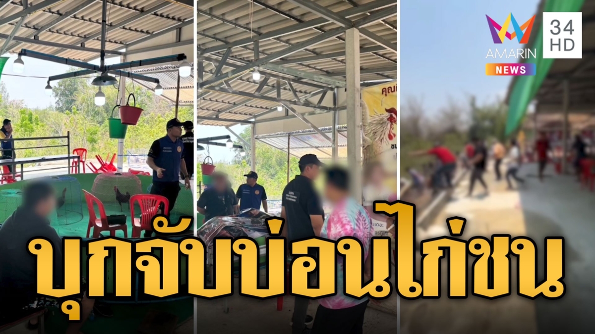 กทลายบ่อนไก่ชน นักพนันวิ่งหนีกระเจิงกลางป่า