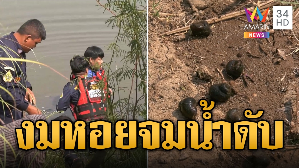 ร้อนจัด! หนุ่มเมียนมางมเก็บหอย จมน้ำดับสลด