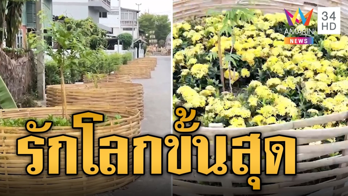 ชาวบ้านงง! รักโลกขั้นสุด ปลูกต้นไม้ขวางถนน