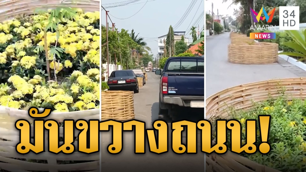 ชาวบ้านโวย! เทศบาลปลูกต้นไม้ถนนหายไปหนึ่งเลน