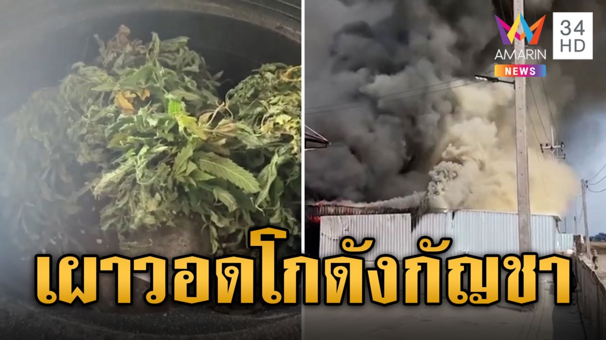 หนีตายวุ่น! เพลิงโหมโกดังกัญชา กลางเมืองแปดริ้ว