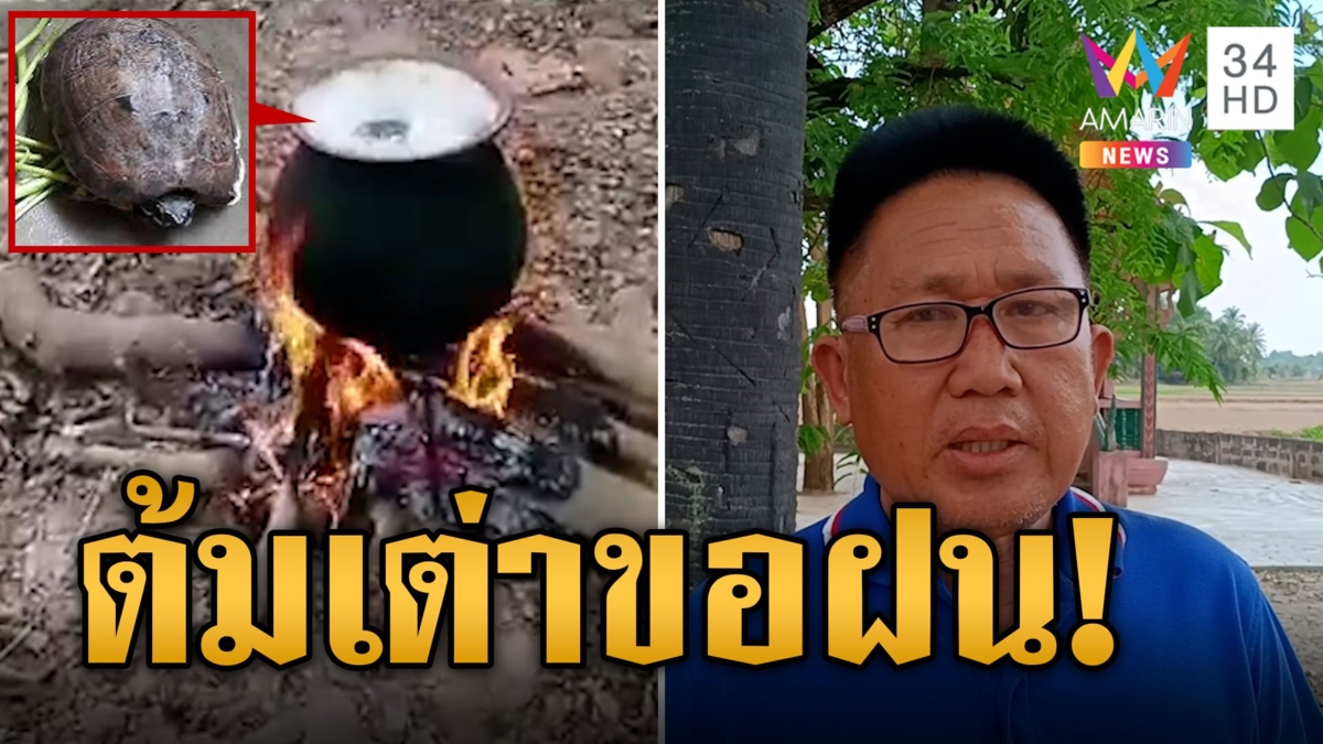 ดราม่าสนั่น! พิธีต้มเต่าขอฝน กำนันแจงไม่ใช่ของจริง