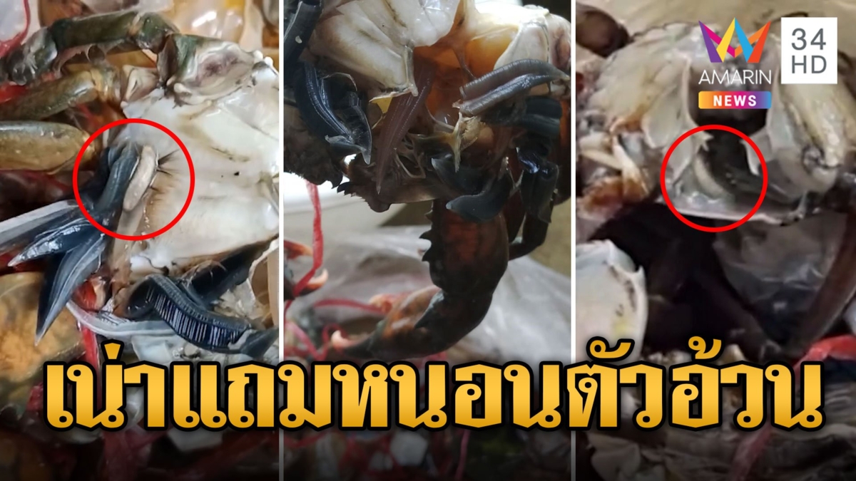 ผัวเมียช็อก! สั่งปูเปิดมาแทบอ้วกกลิ่นเน่าฟุ้ง แถมหนอนยั้วเยี้ย