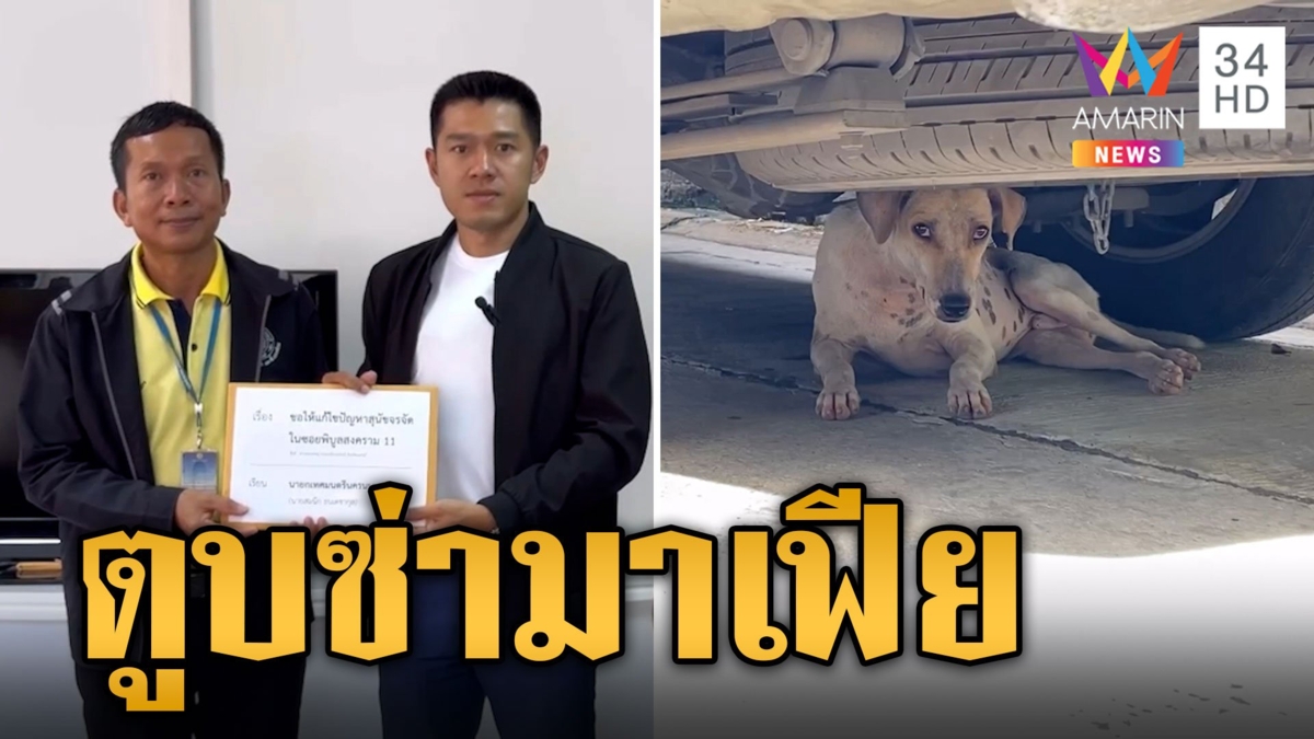 ฝูงหมามาเฟีย กระโดดนอนบนรถ อึฉี่เต็มหมู่บ้าน