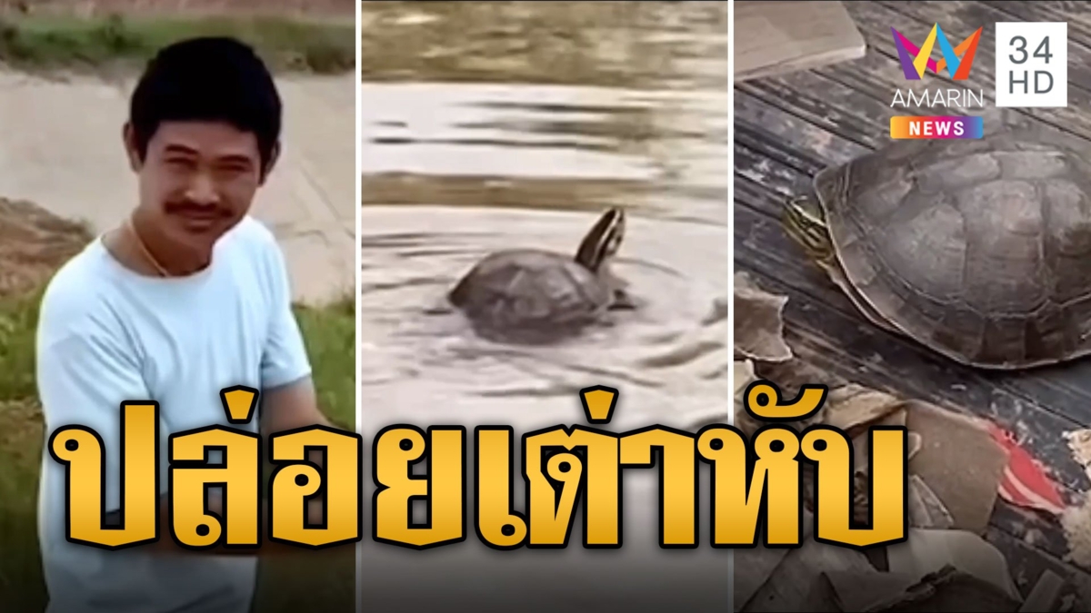 ส่องทะเบียนหนุ่มใจดี ช่วยเต่าหับเดินบนถนนปล่อยลงน้ำ