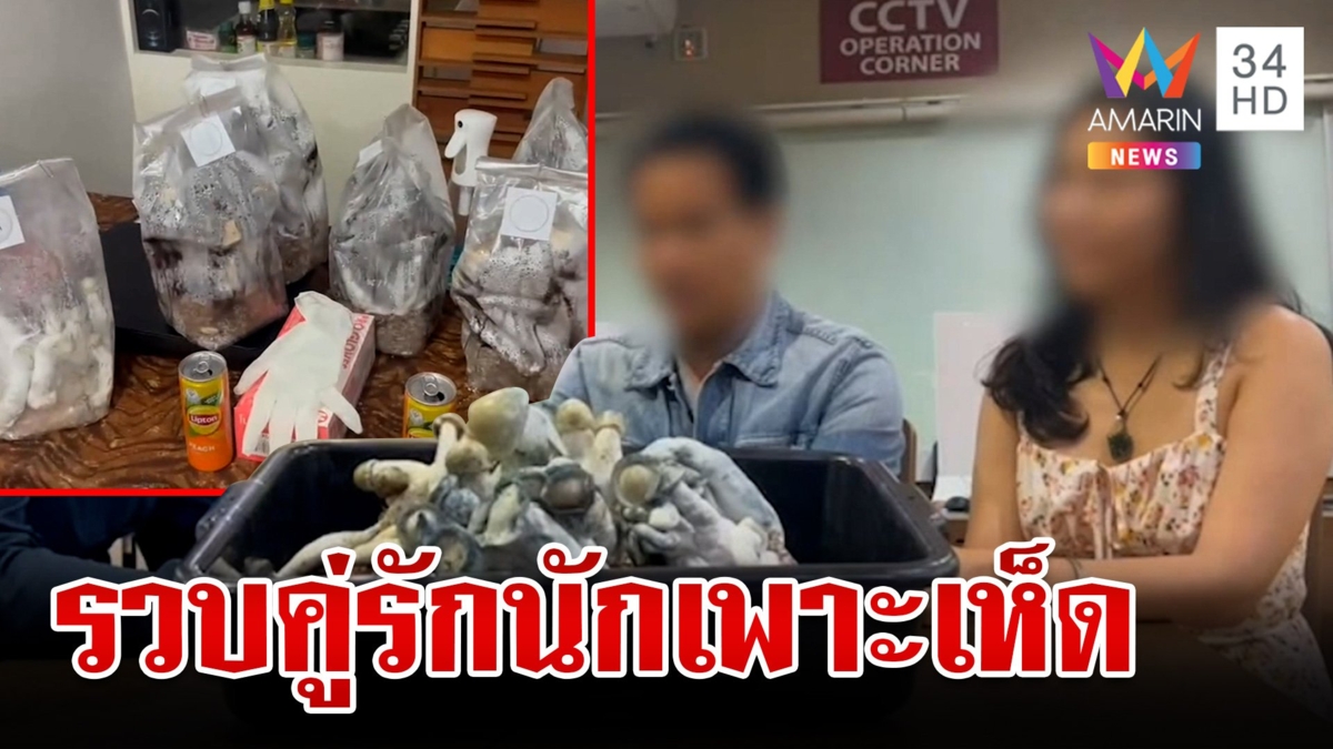 รวบ "คู่รักนักเพาะเห็ดขี้ควาย" ลักลอบขาย-สอนรับประทาน อ้างรักษาโรคได้สารพัด