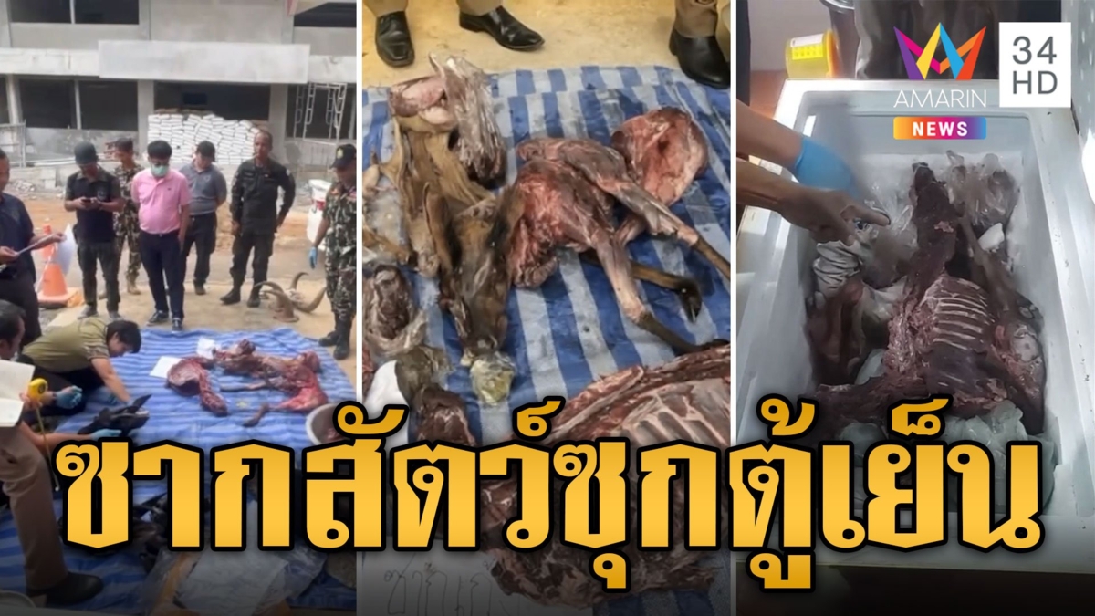 ผงะ! บุกค้นกุฏิวัด พบซากสัตว์ป่าถูกชำแหละซุกในตู้เย็น