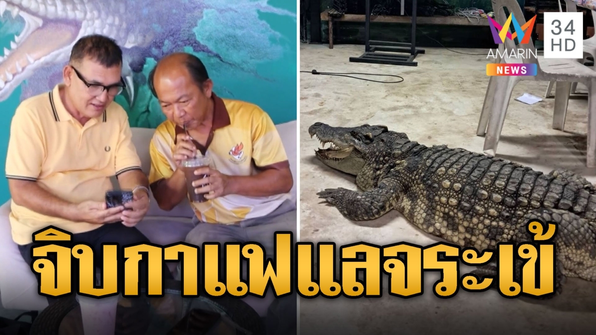 ไอเดียเจ๋ง! ชวนจิบกาแฟชักภาพกับ 'ไอ้ทอง' จระเข้ยักษ์