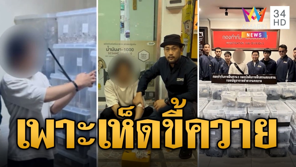 รวบหมุ่มไอที ลอบเพาะ "เห็ดขี้ควาย" ลั่นต้องการความครีเอททำงาน
