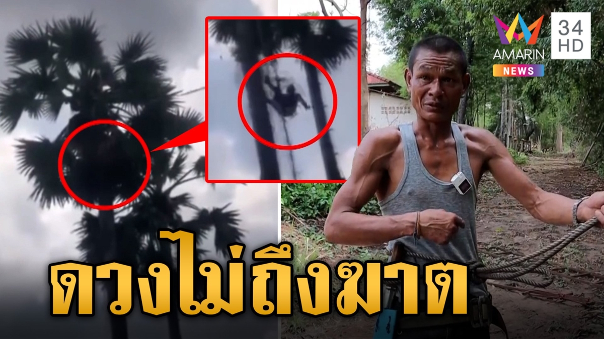 หนุ่มโกงตาย ตกต้นตาลสูงเท่าตึก 4 ชั้น แต่รอดราวปาฏิหาริย์