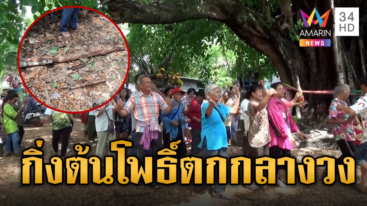 วงแตก! กิ่งต้นโพธิ์ตกใส่หัว กลางวงรำแก้บน