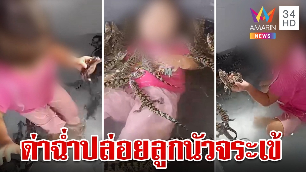 ด่าฉ่ำ!แม่ปล่อยลูก 4 ขวบนัวจระเข้ 200 ตัว จนท.สั่งเบรกหวั่นเด็กรับเชื้อโรค