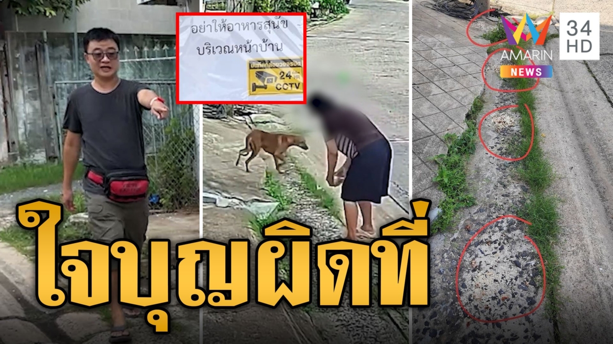 ชาวบ้านเดือดร้อน! ป้าใจบุญเทข้าวให้หมาจรหน้าบ้านคนอื่น