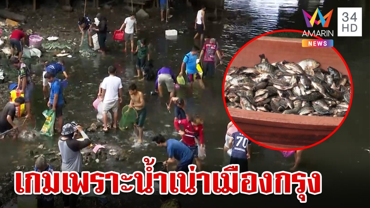 จุดจบปลาหมอคางดำ แพ้น้ำเน่ากรุงเทพฯ ชาวบ้านแห่จับคึกคัก
