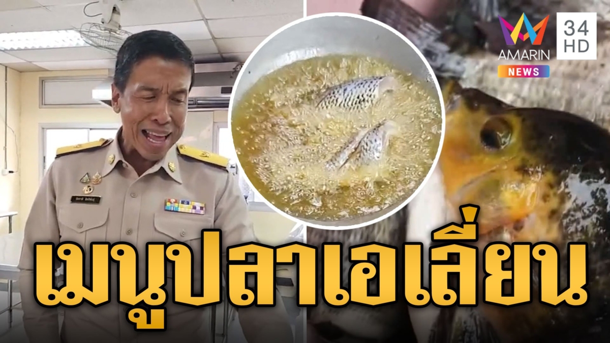 ชัชชาติ' คอนเฟิร์ม 'เมนูปลาหมอคางดำ' อร่อยแน่นอน