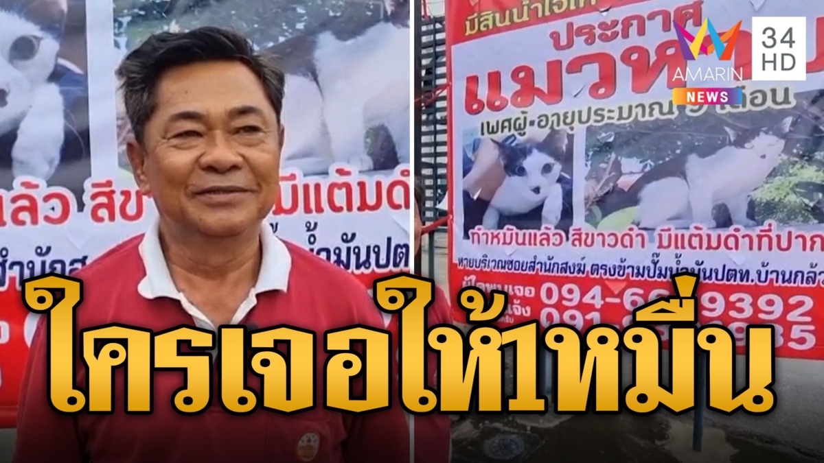 ตามหา 'โจอี้ แมวซน' เจ้าของตั้งรางวัลใครเจอให้ 1 หมื่น
