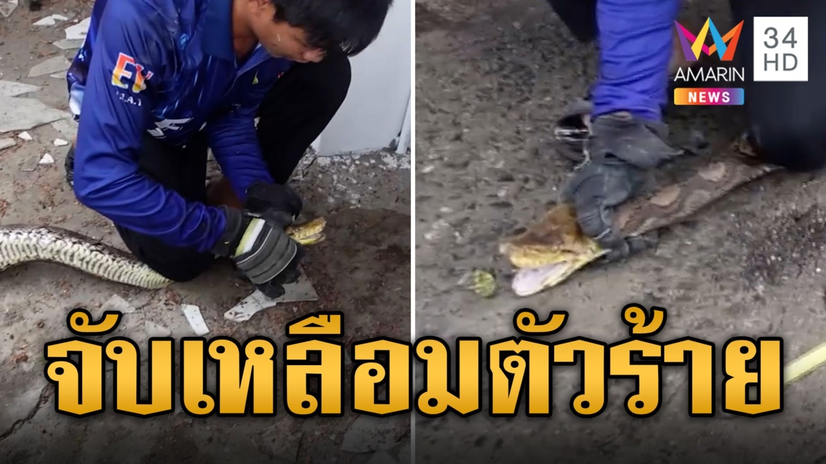 ลุยจับเหลือมตัวร้ายยาว 4.5 เมตร เคยกัดคนเย็บ 38 เข็ม
