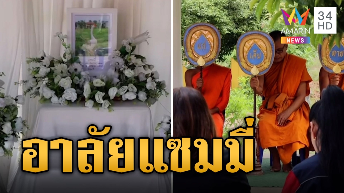 สุดเศร้า! เจ้าของจัดงานศพให้ 'ห่านแซมมี่' แสนรัก ถูกหมารุมกัดตาย