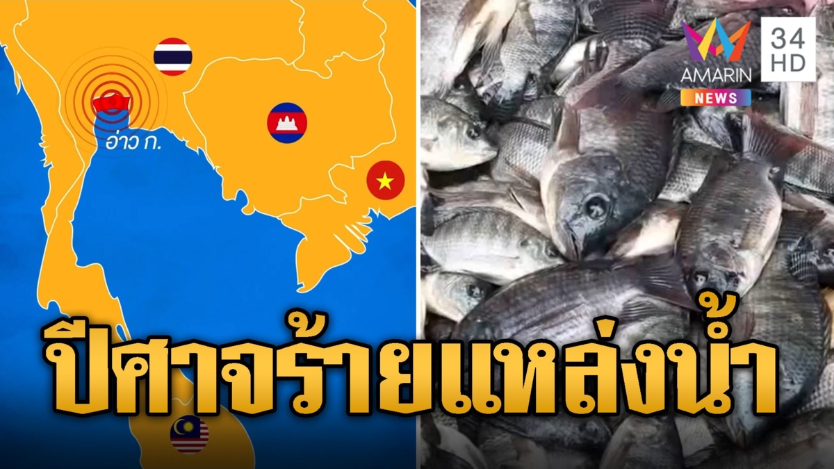 สยอง! "ปลาหมอคางดำ" ปีศาจร้ายไล่ฟาดเหยื่อได้ทั้งน้ำเค็ม-น้ำจืด