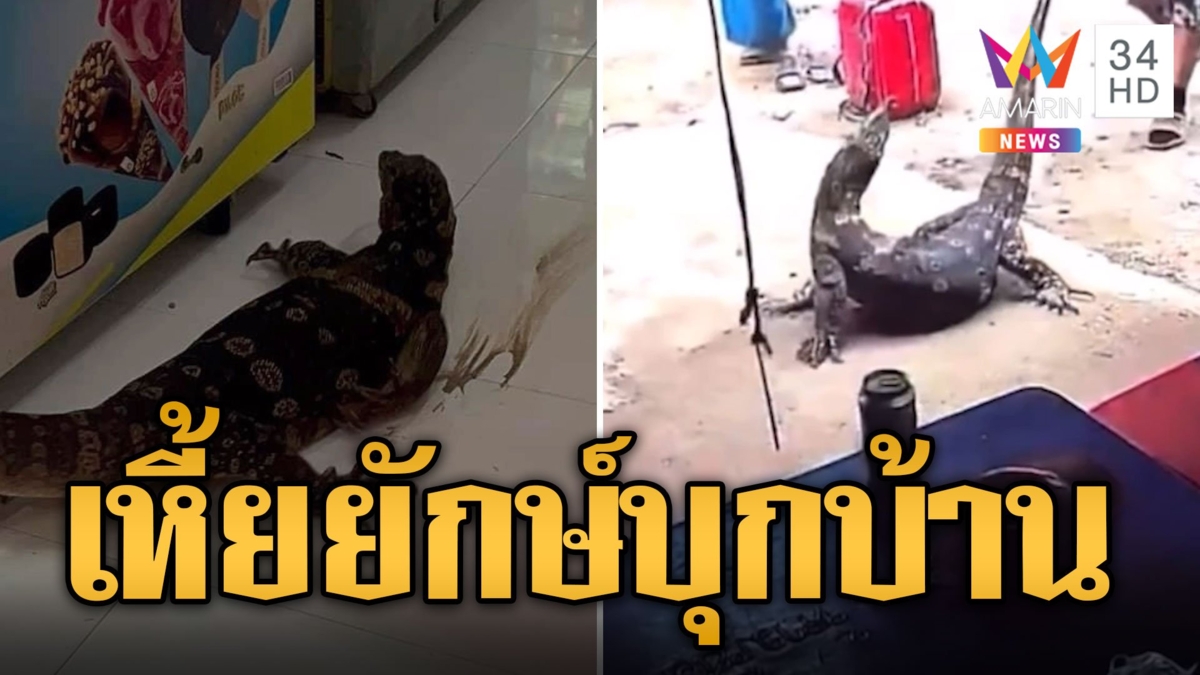 แตกตื่น! ตัวเหี้ยยักษ์วิ่งเข้าบ้าน เชื่อมาให้โชค
