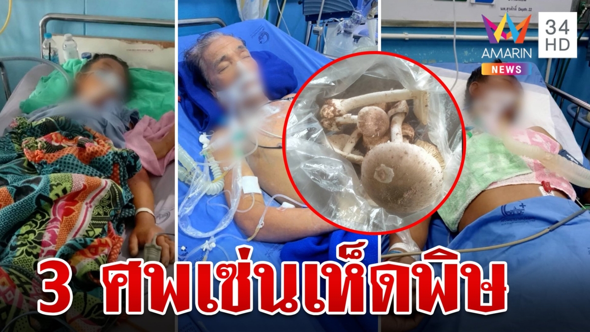 สังเวยอีกศพเหยื่อเห็ดพิษมรณะ ยายเฒ่าปล่อยโฮสูญเสียเสาหลัก