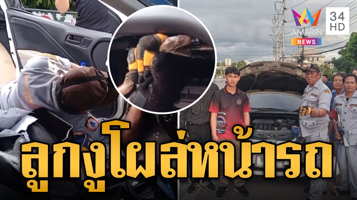 กรี๊ดลั่น! ลูกงูเหลือมโผล่หน้ารถเก๋ง ชาวเน็ตแห่ส่องเลขทะเบียน