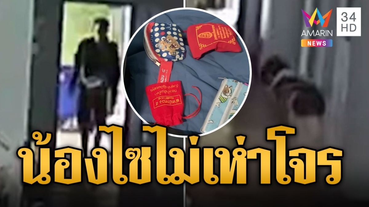 น้องไซก็ไม่ช่วย! โจรบุกบ้านกวาดทองกว่า 1 ล้าน