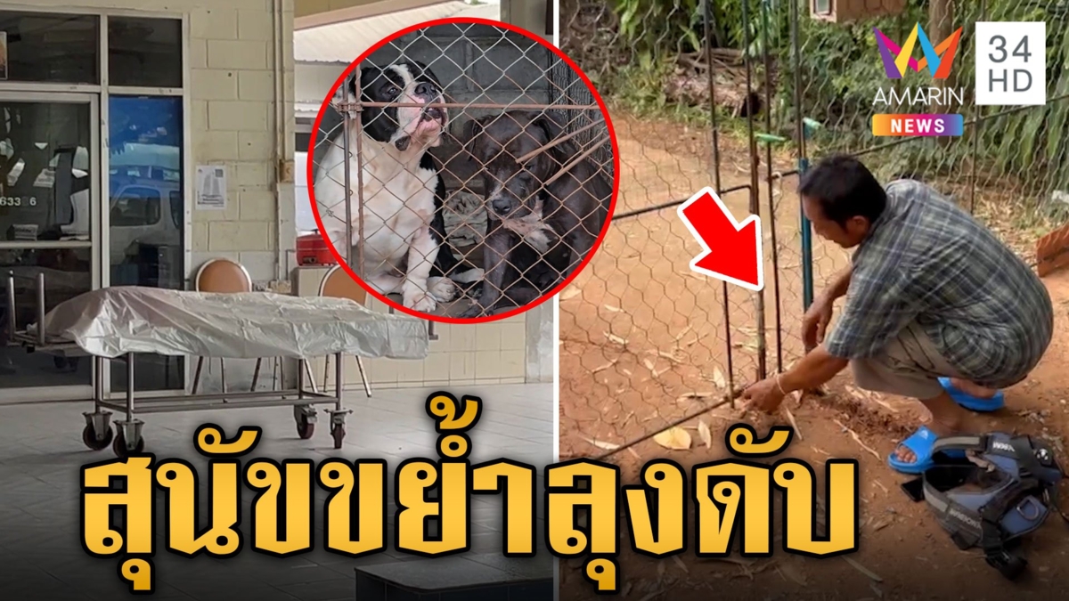 สยอง!สุนัขอเมริกันบูลลี่ขย้ำลุงวัย 70 ดับ ขณะเดินเล่นในหมู่บ้าน