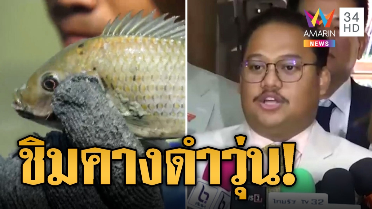 บุกล้อม 'ณัฐชา' แจกปลาหมอคางดำให้สส.ชิม หวั่นมีเรื่องวุ่น