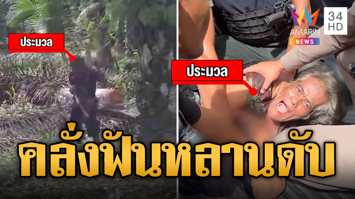 คลั่งพระบิดา! ควงมีดพร้าฟันหลานดับ-4 ขวบสาหัส