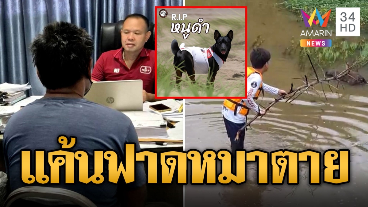ปู่แค้น! หนูดำ ฟาดจนตายหมาเคราะห์ร้ายทำหลานเดินตามจนจมน้ำ