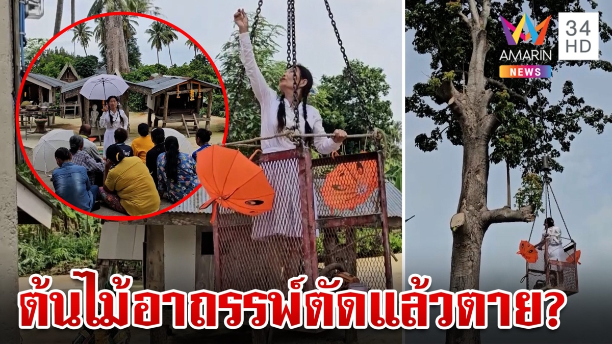 อาถรรพ์ต้นไม้ 100 ปี เชิญร่างทรงทำพิธีตัด หลังก่อนหน้านี้มีคนตัดแล้วตาย
