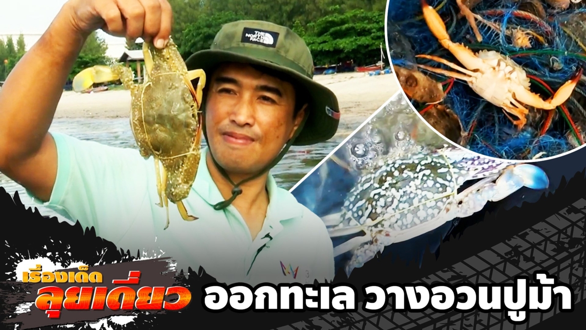 เรื่องเด็ดลุยเดี่ยว | ออกทะเล วางอวนปูม้า จ.ระยอง