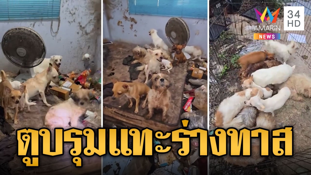 ทาสหมาดับคาบ้าน เจ้าตูบรุมแทะร่างประทังชีวิตสุดอนาถ