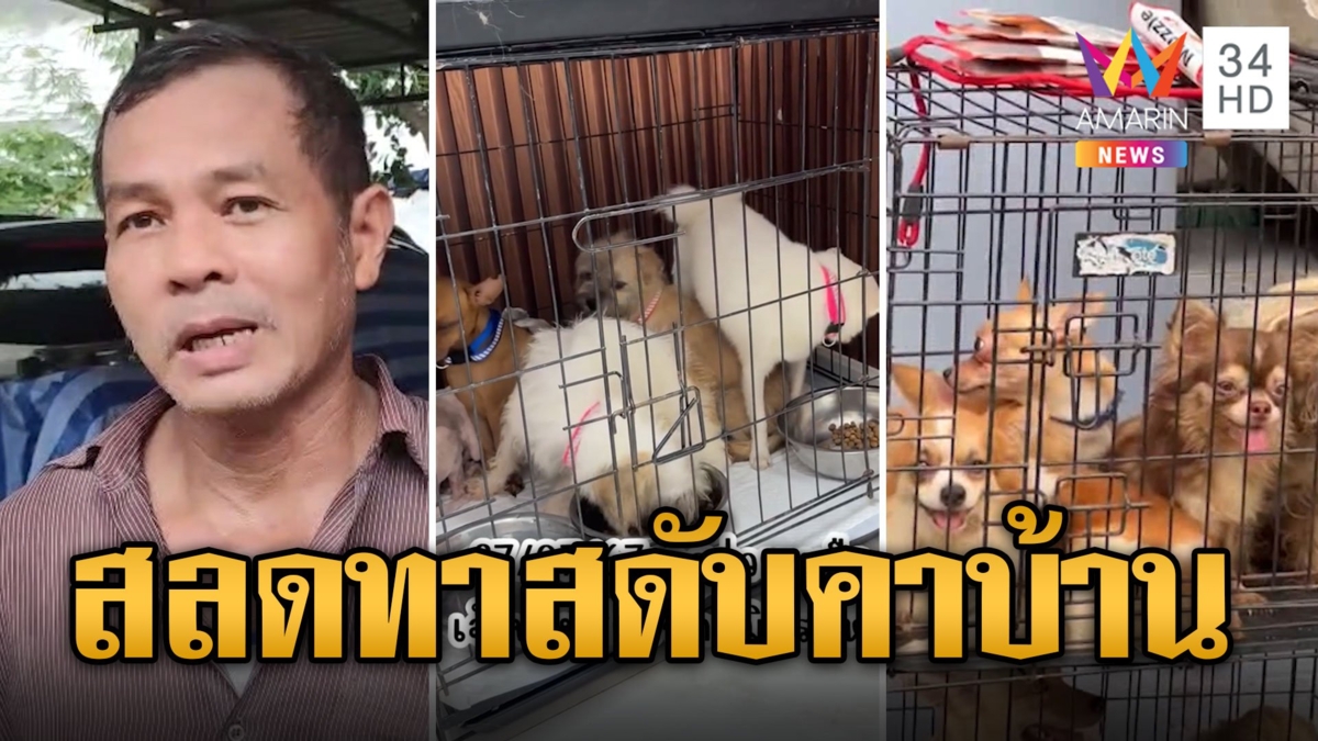 เพื่อนบ้านสลดใจ ลุงทาสหมาดับคาบ้าน เผยรักมากเลี้ยงจนถูกร้องเรียน