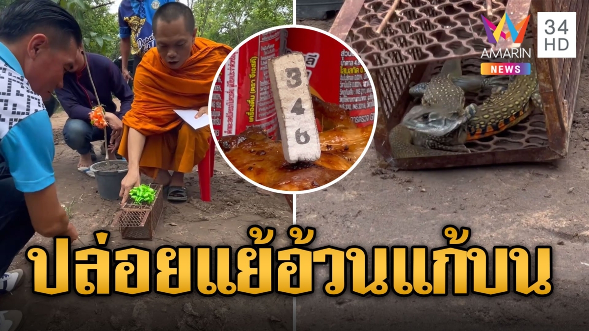 สุดแปลก! พิธีอัญเชิญศาลเจ้าพ่อเขาแหลม ปล่อยแย้อ้วนแก้บน