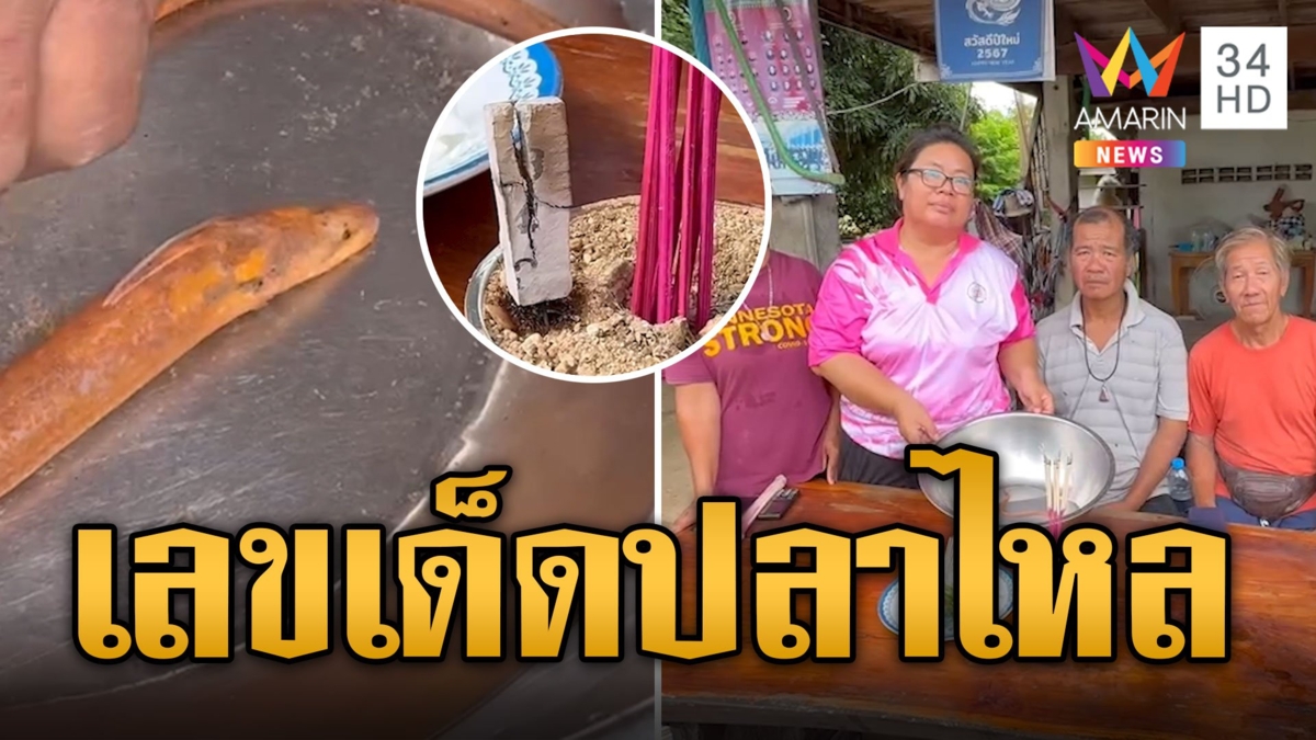 ส่องเลขชัดๆ ปลาไหลสีทองโผล่ เชื่อมาให้โชค