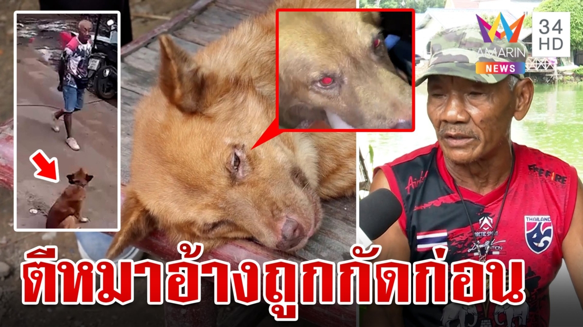 ใจบาปควงไม้ตีตูบปางตาย เจ้าของรับหมาดุแต่ตีเกินเหตุ เฒ่าอ้างถูกกัดก่อน