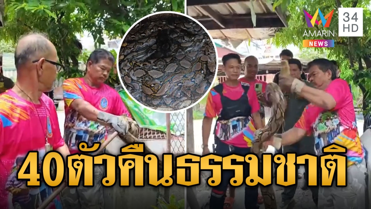 ขนลุกซู่! จับงู 40 ตัวปล่อยคืนสู่ธรรมชาติ