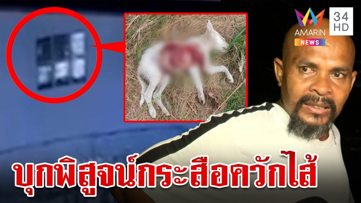 "หมอปลา" บุกพิสูจน์กระสือกินไส้หมา ชาวบ้านสบายใจที่มาช่วย