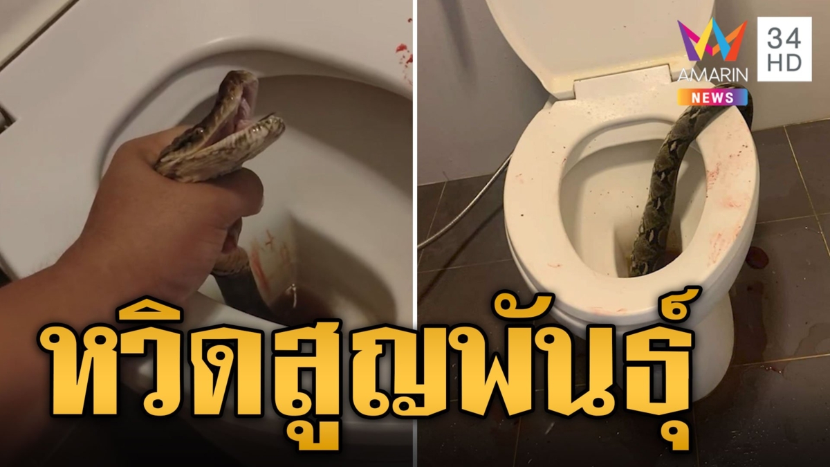 หนุ่มดวงซวย! นั่งปลดทุกข์ เจอเหลือมกัดหวิดสูญพันธุ์