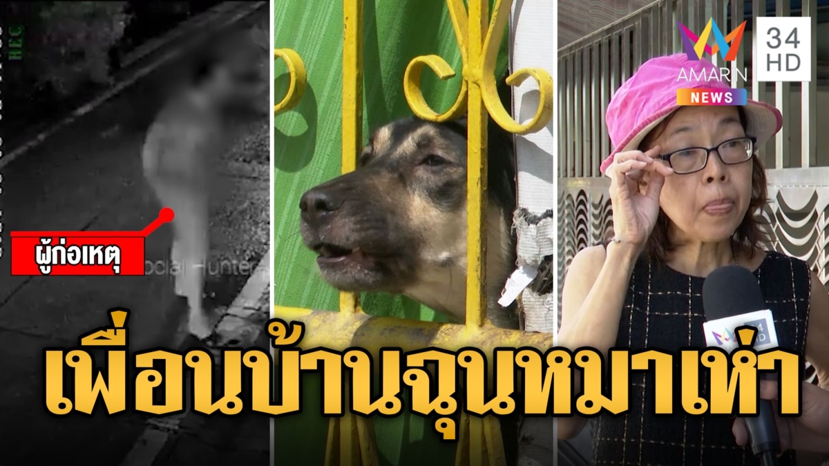 เพื่อนบ้านฉุนหมาเห่าเสียงดัง เบิ้ลเครื่องป่วน ตะโกนด่าไม่ยั้ง