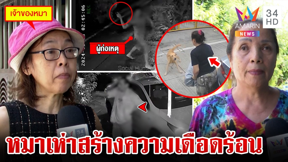 สุดทนหมาเห่า!บุกปาของใส่เพื่อนบ้าน เผยฝูงหมาสร้างความเดือดร้อน