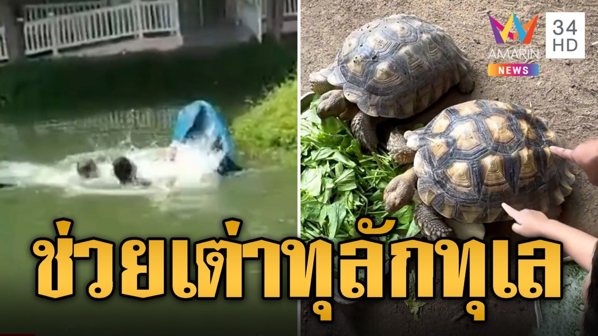 ทุลักทุเล! 2 หนุ่มพายเรือช่วยเต่า เรือล่มตกน้ำป๋อมแป๋ม