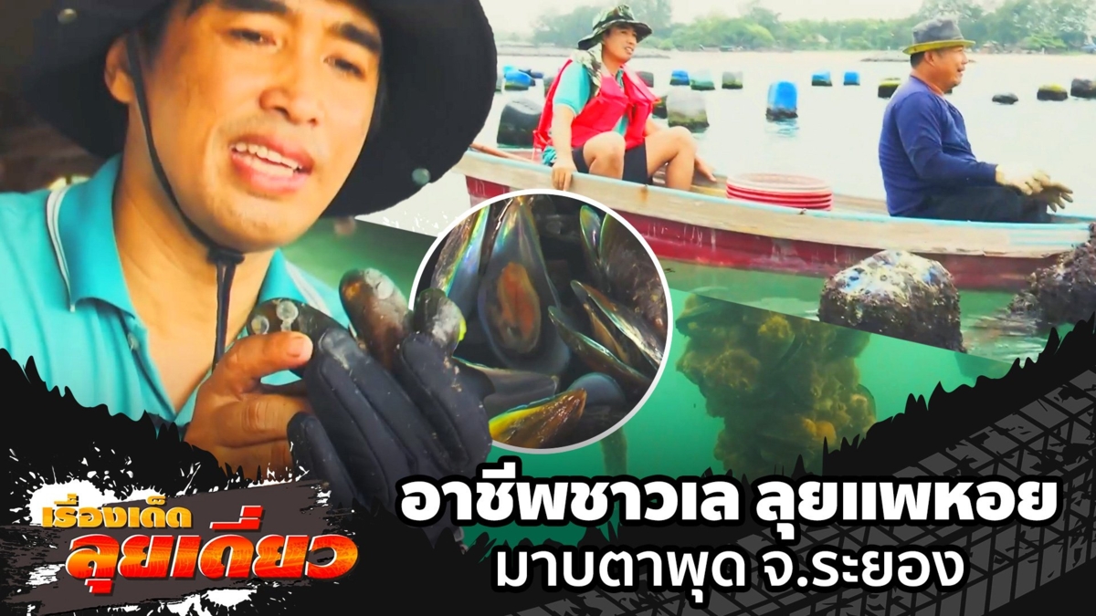 เรื่องเด็ดลุยเดี่ยว | อาชีพชาวเล ลุยแพหอย มาบตาพุด จ.ระยอง